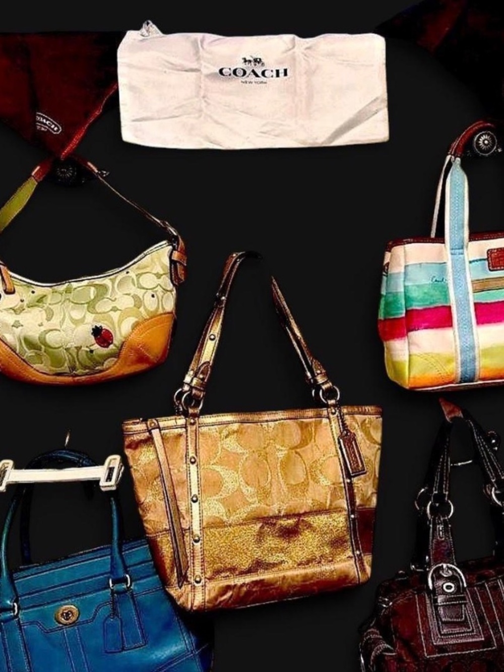 Coach bag PRIVATE COLLECTION